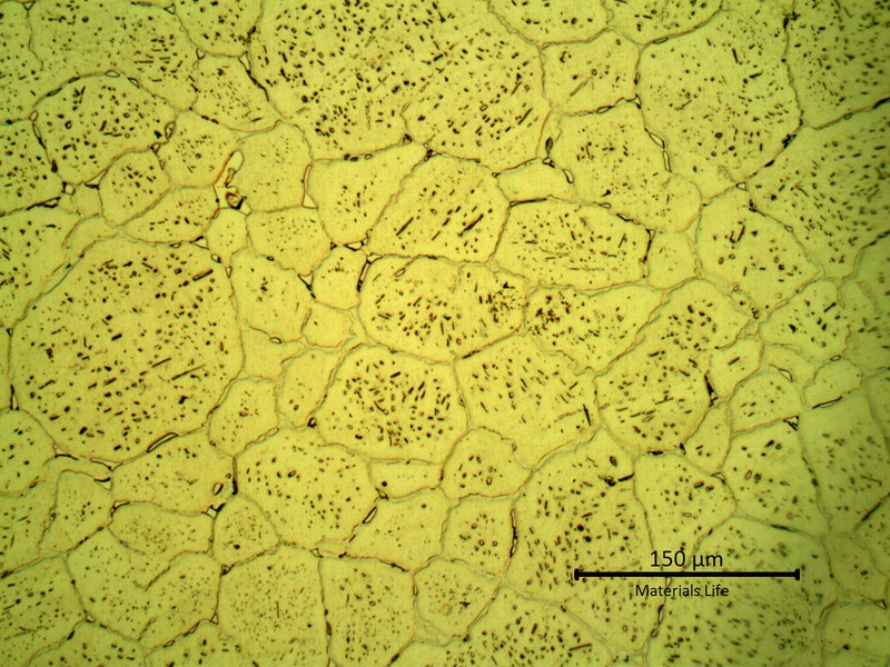 SAMPLE 1 AT 1 mm THICKNESS - Micrography in the center of the thickness. The microstructure is austenitic with secondary precipitation, intergranular and intragranular.