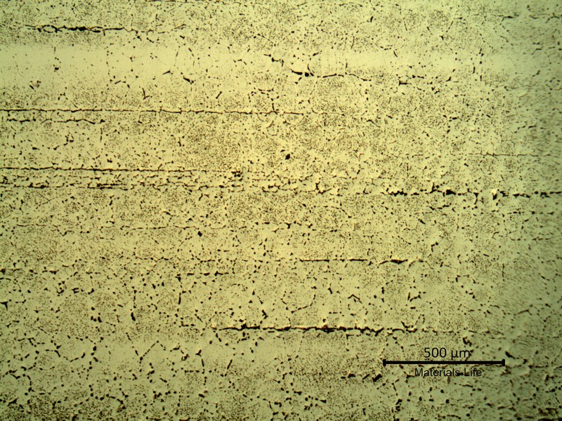 SAMPLE 3 AT 4 mm THICKNESS - Micrography in low magnification in the center of the thickness. The microstructure is austenitic with secondary intergranular and intragranular precipitation, but this micrography was obtained in the longitudinal section, presenting the plate alignment and was etched with NaOH, adopted to colour the sigma phase .