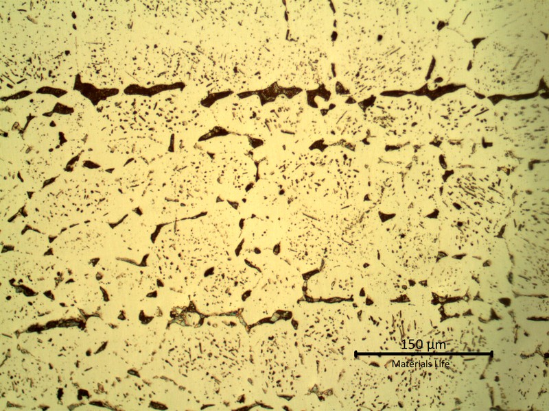 SAMPLE 3 AT 4 mm THICKNESS - Micrography in the center of the thickness.  The microstructure is austenitic with secondary intergranular and intragranular precipitation, but this micrography was obtained in the longitudinal section, presenting the plate alignment and was etched with NaOH, adopted to colour the sigma phase.
