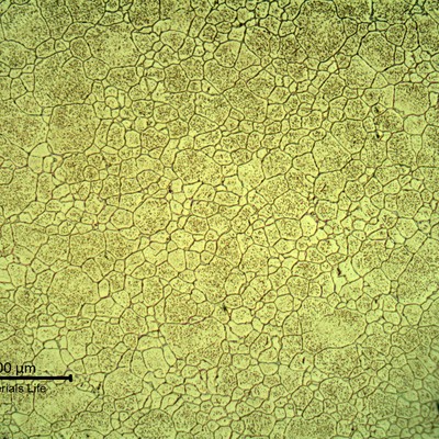 SAMPLE 2 AT 2 mm THICKNESS - Micrography in low magnification in the center of the thickness.  The microstructure is austenitic with secondary intergranular and intragranular precipitation. No variation in the microstructure of the center of the plate, compared to sample 1.