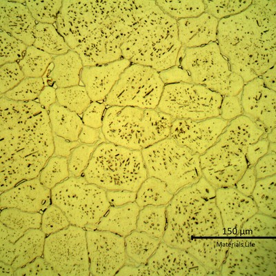 SAMPLE 1 AT 1 mm THICKNESS - Micrography in the center of the thickness.  The microstructure is austenitic with secondary precipitation, intergranular and intragranular.