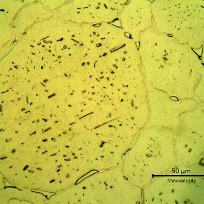 SAMPLE 2 AT 2 mm THICKNESS - Micrographic detail of the austenite with secondary precipitation. This oxalic acid electrolytic etch is revealing the integranular and transgranular (or intragranular) precipitation.  In the grain boundaries it is possible to see: 1) a continuous network of carbide precipitation and 2) isolated islands of sigma phase.  In the middle of the grains there are rounded and neddles like carbides.  There are no variations in the microstructure comparing to sample 1.