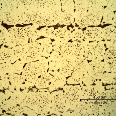 SAMPLE 3 AT 4 mm THICKNESS - Micrography in the center of the thickness.  The microstructure is austenitic with secondary intergranular and intragranular precipitation, but this micrography was obtained in the longitudinal section, presenting the plate alignment and was etched with NaOH, adopted to colour the sigma phase.