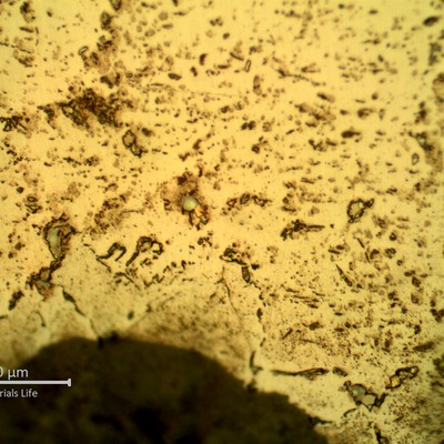 SAMPLE 1 AT 1 mm THICKNESS, SIDE A - Micrographic detail of the austenite with secondary precipitation, close to the surface exposed to the process side.  This NaOH electrolytic etch is colouring the sigma phase at austenite grain boundaries, creating cracks and grain detachemnt leading to quick thinning.