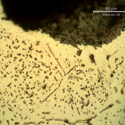 SAMPLE 1 AT 1 mm THICKNESS, SIDE B - Micrographic detail of the austenite with secondary precipitation, close to the surface exposed to the furnace environment. This NaOH electrolytic etch is adopted to colour sigma phase and at this position there are no special formation of sigma in the grain boundaries and there are no oxide penetrations, confirming  that the environment is important to create the damage and the internal side of the tube is responsible for the quick degradation in high temperature.
