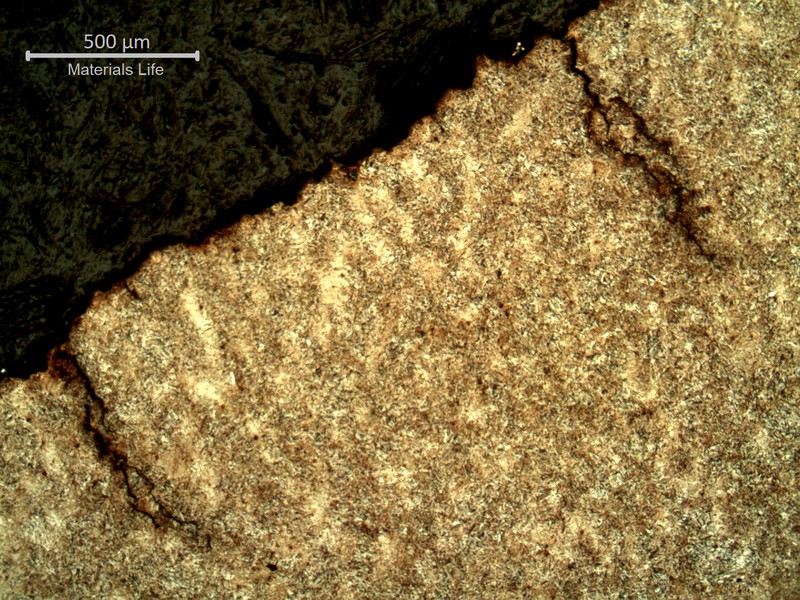 Micrography of the socket in a section transverse to the fracture, showing the fracture in the top and some secondary brittle cracks.