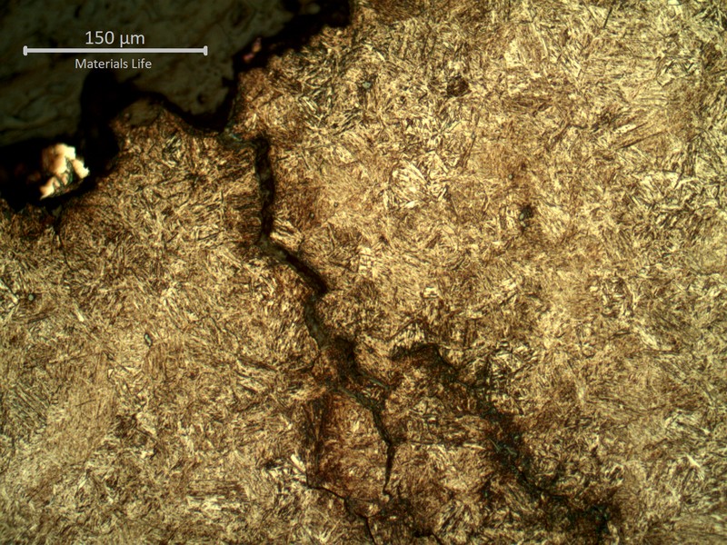 Micrographic detail of a secondary crack transverse to the fracture (in the top), showing its appearance as multiple openings, straight and with intergranular and transgranular characteristics .