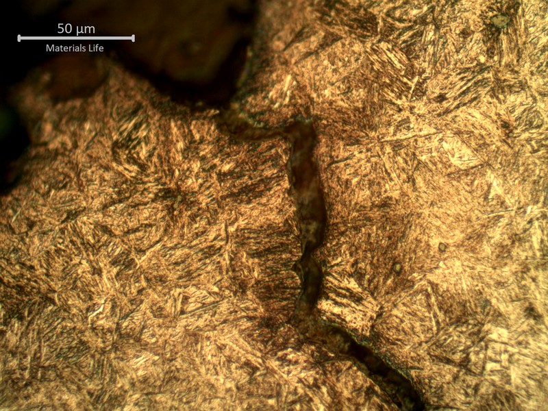 Micrographic detail of a secondary crack transverse to the fracture (in the top), showing its transgranular appearance at this position.