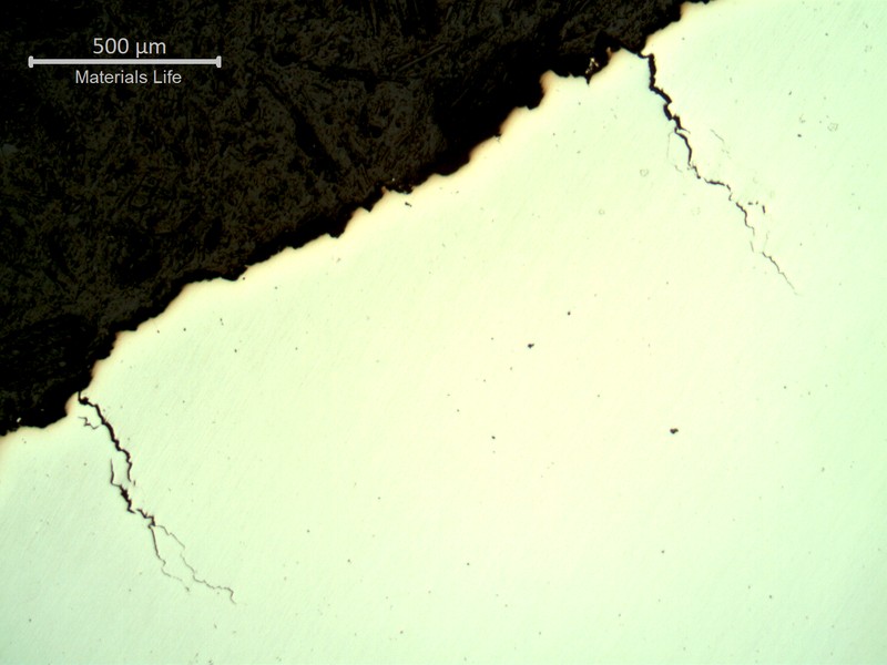Micrography, as polished, of the socket in a section transverse to the fracture, showing the fracture in the top and secondary brittle cracks.