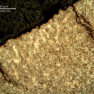 Micrography of the socket in a section transverse to the fracture, showing the fracture in the top and some secondary brittle cracks.