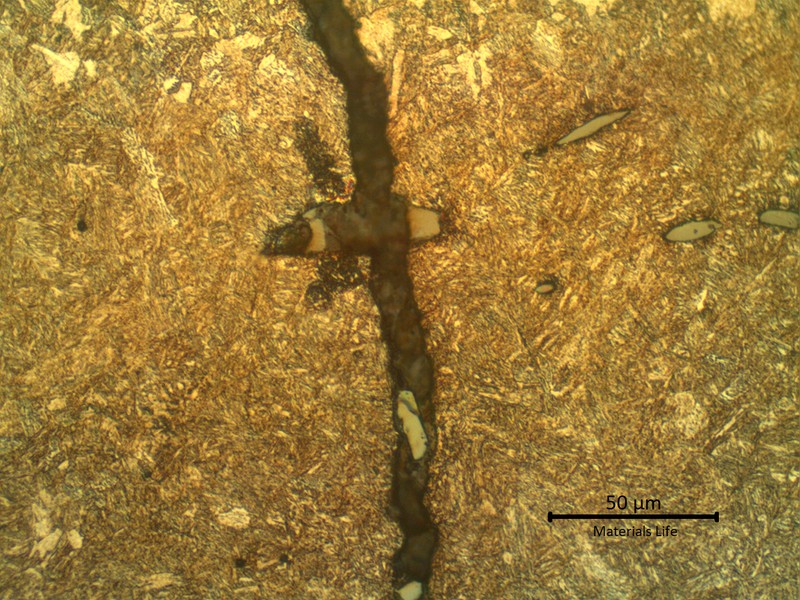 Micrographic detail of the fatigue cracking, straight and without microstructural influence.