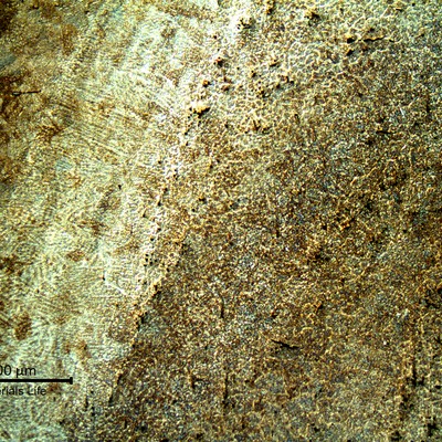 Low magnification micrography at the weld repair close to the internal surface of the valve body, in a longitudinal section.
Weld metal to the right and heat affected zone to the left.