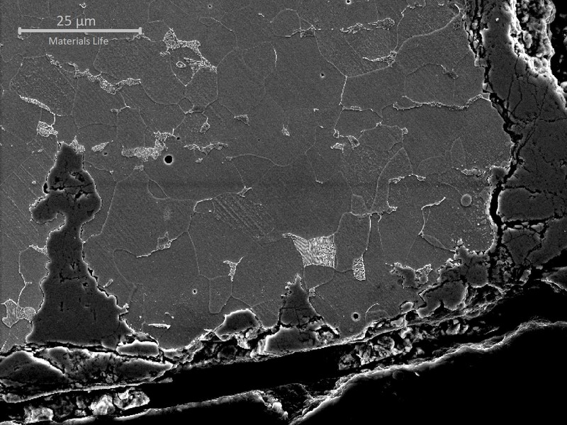 Micrographic detail, by scanning electron micrography, of the pitting corrosion generating cracks, typical of a corrosion fatigue mechanism.