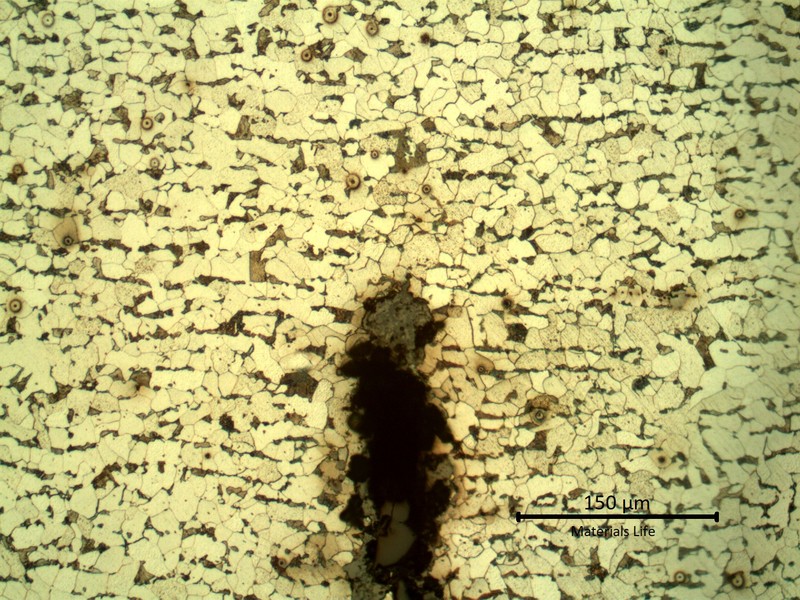 Micrography of the crack tip, initiated from the internal tube surface.  The crack is transgranular, filled with oxides and blunt-tipped.