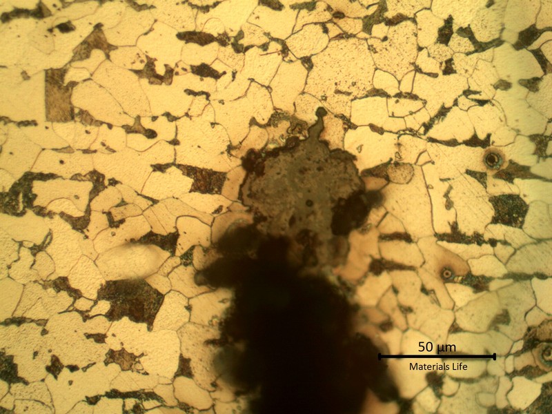 Micrographic detail of the blunt-tipped crack, transgranular and filled with oxides.