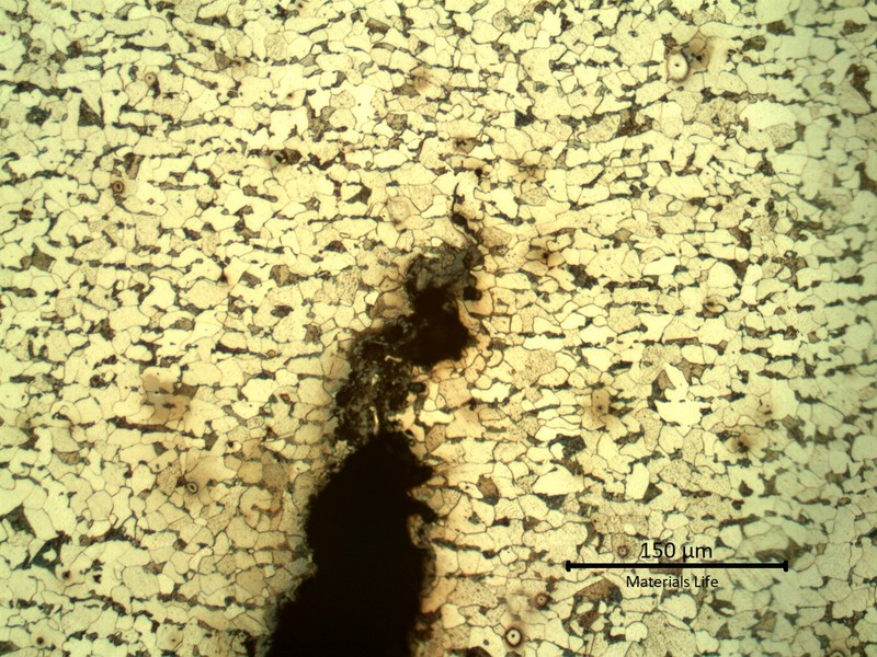 Micrography of the crack tip, initiated from the internal tube surface.  The crack is transgranular and filled with oxides.
