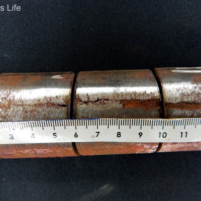 Aspect of the external surface of the leaking tube, after removal of the membrane.