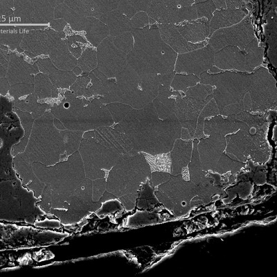 Micrographic detail, by scanning electron micrography, of the pitting corrosion generating cracks, typical of a corrosion fatigue mechanism.