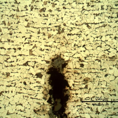 Micrography of the crack tip, initiated from the internal tube surface.  The crack is transgranular, filled with oxides and blunt-tipped.