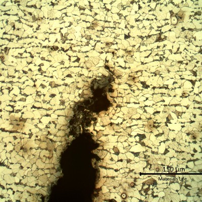 Micrography of the crack tip, initiated from the internal tube surface.  The crack is transgranular and filled with oxides.
