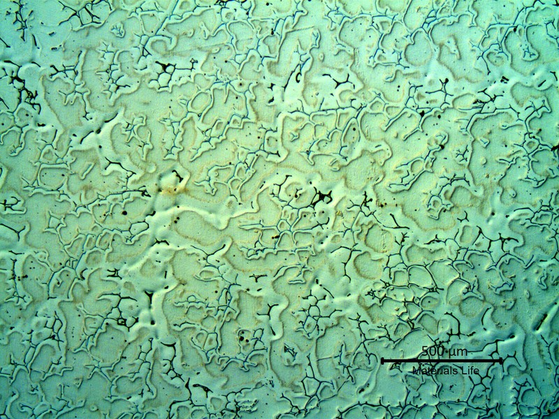 Micrography of a longitudinal section, in the center of the valve body, solid 3" thickness.  The structure is austenitic with delta ferrite in interdendritic spaces.