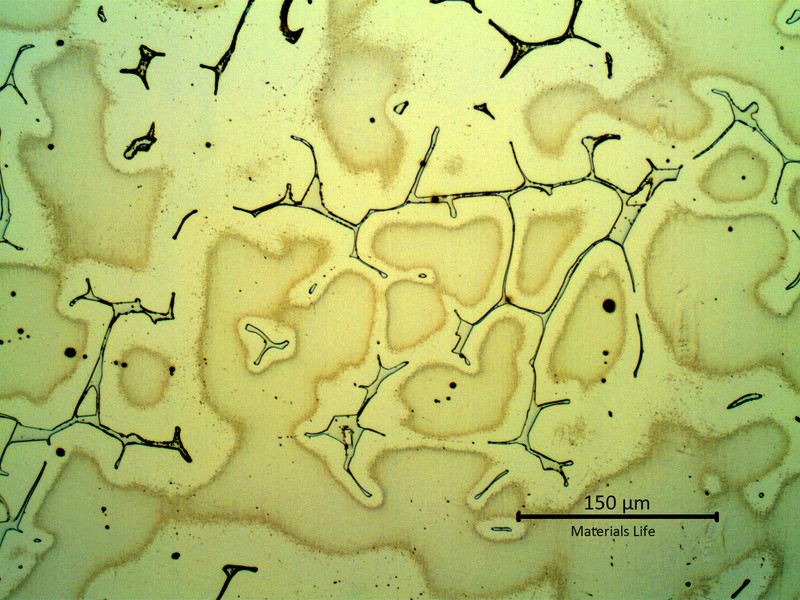Micrography of a longitudinal section, in the center of the valve body.  The structure is austenitic with delta ferrite in interdendritic spaces.  The austenite presents a cored matrix in the dendrites, indicating the chemical composition was not homogeneized during the heat treatment.