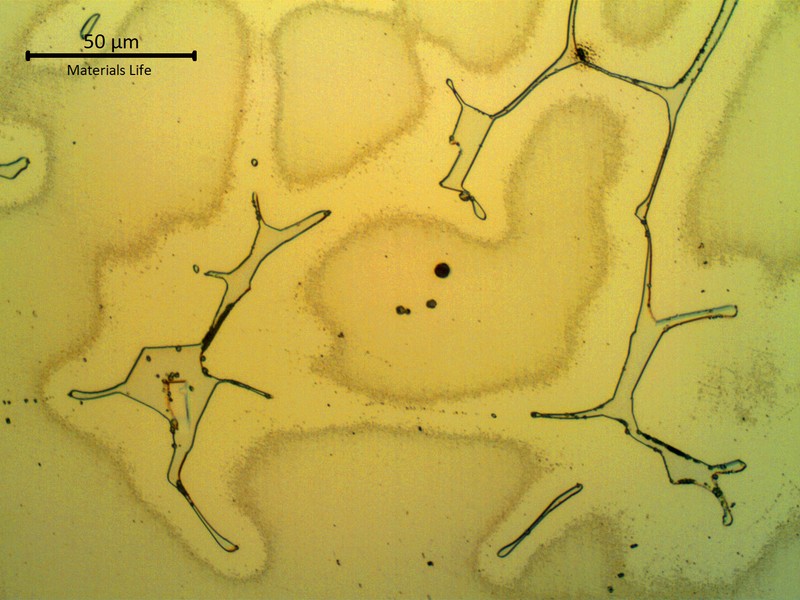 Micrographic detail of the cored austenitic structure with delta ferrite in interdendritic spaces.  The chemical composition was not homogeneized during the heat treatment.