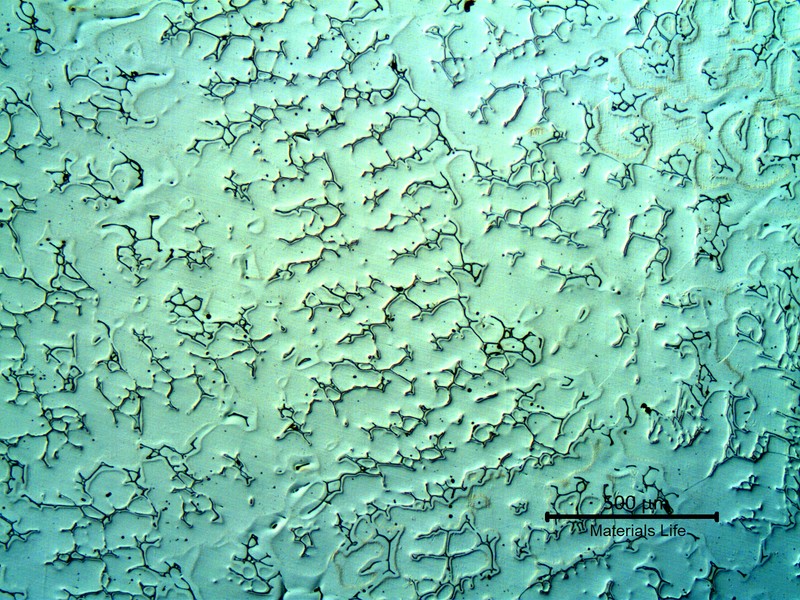 Micrography of a longitudinal section, in the 1" thickness valve wall. The structure is austenitic with delta ferrite in interdendritic spaces.