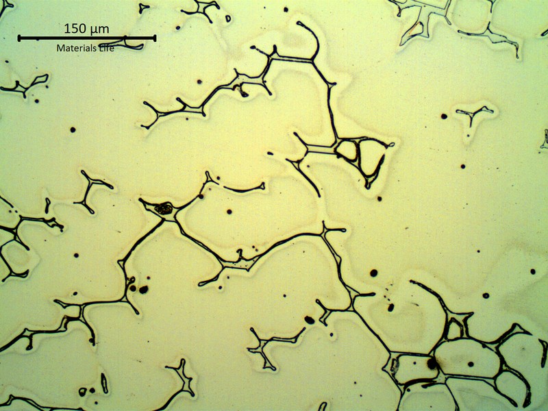 Micrography of a longitudinal section, in the valve wall 1" thick.  The structure is austenitic with delta ferrite in interdendritic spaces.  The austenite is clean indicating that the homogeneization of a smaller thickness in the heat treatment is considered effective.