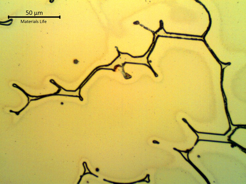 Micrographic detail  of the clean austenitic matrix, with delta ferrite in interdendritic spaces.