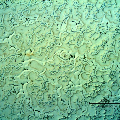 Micrography of a longitudinal section, in the center of the valve body, solid 3" thickness.  The structure is austenitic with delta ferrite in interdendritic spaces.