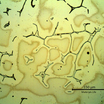 Micrography of a longitudinal section, in the center of the valve body.  The structure is austenitic with delta ferrite in interdendritic spaces.  The austenite presents a cored matrix in the dendrites, indicating the chemical composition was not homogeneized during the heat treatment.