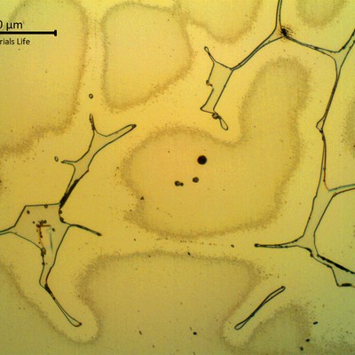 Micrographic detail of the cored austenitic structure with delta ferrite in interdendritic spaces.  The chemical composition was not homogeneized during the heat treatment.