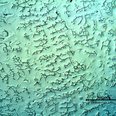 Micrography of a longitudinal section, in the 1" thickness valve wall.  The structure is austenitic with delta ferrite in interdendritic spaces.