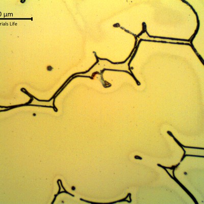 Micrographic detail  of the clean austenitic matrix, with delta ferrite in interdendritic spaces.