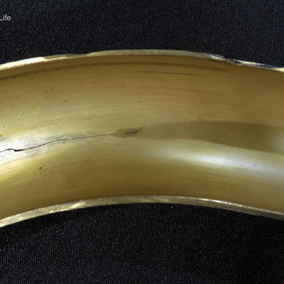 Aspect of the internal tube surface after a longitudinal cut, without cleaning.  It is possible to see a clean surface inside the tube.