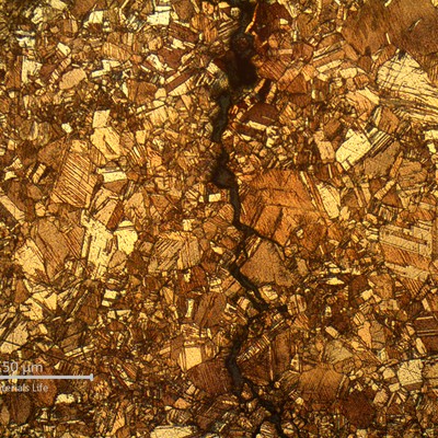 Micrography of a tube transverse section, at the through wall cracking position, showing intergranular morphology of the stress corrosion cracking.  In the center of the thickness,  far from the external surface corroded layer, the cracks are intergranular but did not present any dealloying evidence.
