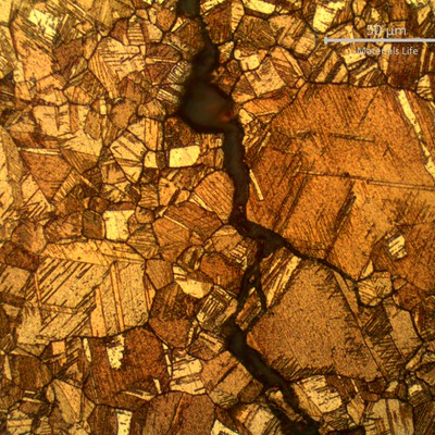 Micrographic detail of the intergranular stress corrosion crack, without evidences of dealloying.