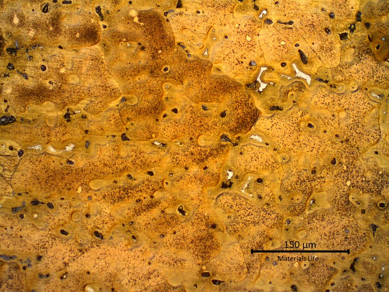 Micrography of a transverse section of the ring showing a cored alpha structure with segregation at interdendritic regions. This structure is in a region close to the ring surface.