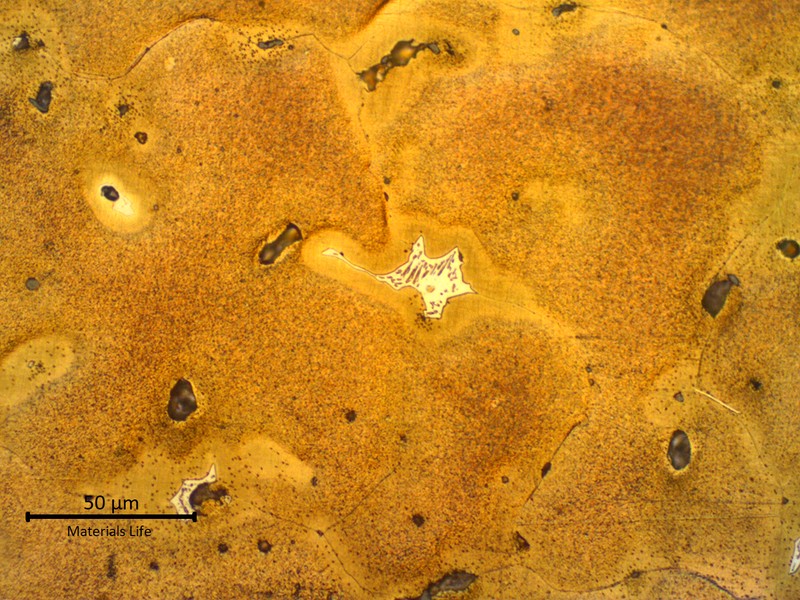 Micrographic detail of the cored alpha structure with light segregation at intergranular regions (light layer at grain boundaries), and a white euctetoid structure (alpha and delta) at interdendritic space. This structure is in a region close to the ring surface, where the solidification was quicker.