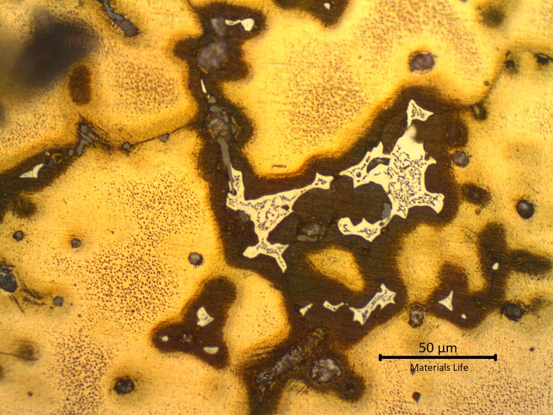 Micrographic detail of the cored alpha structure with strong segregation at intergranular regions (dark layer at grain boundaries), and a white euctetoid structure (alpha and delta) at interdendritic space. This structure is in a region close to the center of the ring, where the solidification was slower.