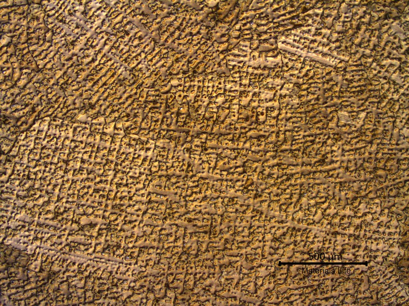 Low magnification micrography of a transverse section of the ring showing a dendritic structure.