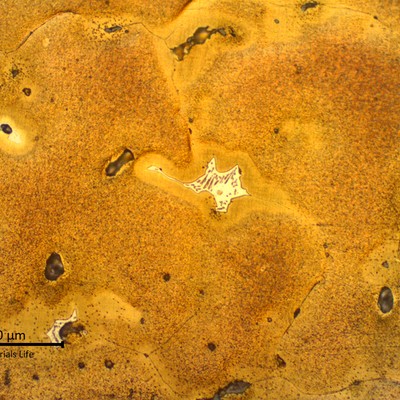 Micrographic detail of the cored alpha structure with light segregation at intergranular regions (light layer at grain boundaries), and a white euctetoid structure (alpha and delta) at interdendritic space. This structure is in a region close to the ring surface, where the solidification was quicker.