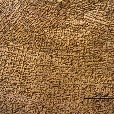Low magnification micrography of a transverse section of the ring showing a dendritic structure.