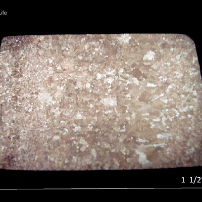 Macrography of a ring transverse section presenting a large variation in the grain size, revealing the diferences in the solidification rate.