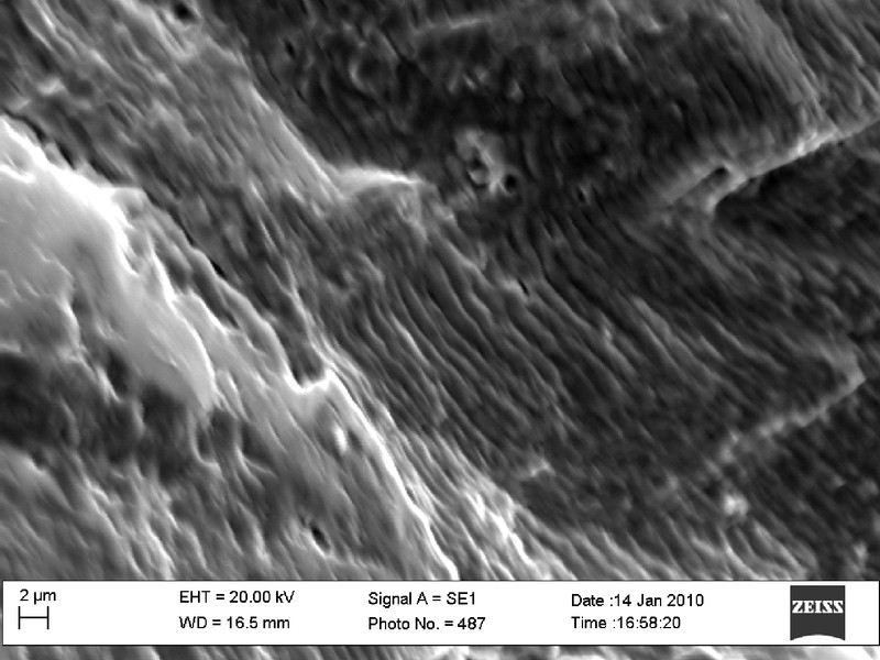 Detail of the striation micromechanism.