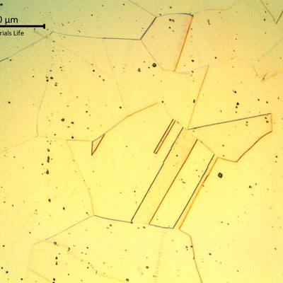 Micrographic detail of the austenitic structure, free from strain hardening and free from grain boundary carbides.