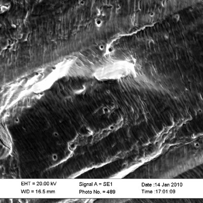 The thin striation is evident in the fracture surface, suggesting a high cycle fatigue, typically identified in vibration conditions.