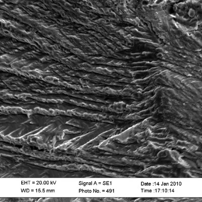 When the fracture propagates, the striation becomes wider and with transgranular irregular steps.
