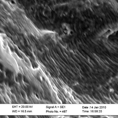 Detail of the striation micromechanism.